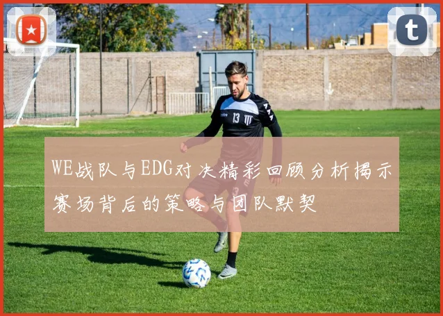WE战队与EDG对决精彩回顾分析揭示赛场背后的策略与团队默契