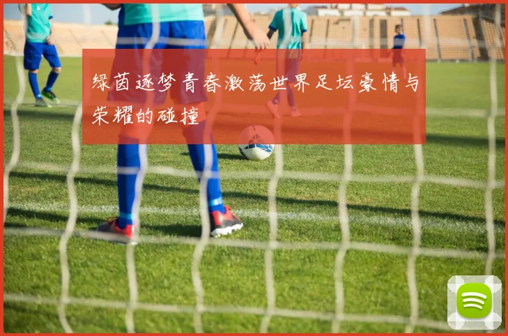 绿茵逐梦青春激荡世界足坛豪情与荣耀的碰撞