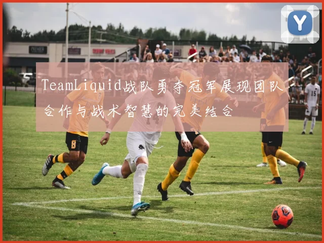 TeamLiquid战队勇夺冠军展现团队合作与战术智慧的完美结合