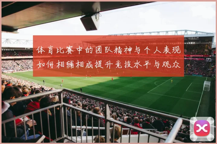 体育比赛中的团队精神与个人表现如何相辅相成提升竞技水平与观众体验